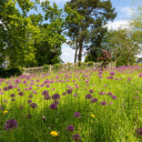 Flowers bloom all over the garden  screen for extension Chrome web store in OffiDocs Chromium