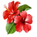 flowers bloom in one area  screen for extension Chrome web store in OffiDocs Chromium