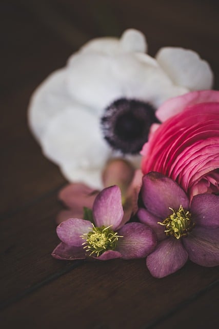 Baixe gratuitamente a imagem gratuita do fundo da primavera com flores e flores para ser editada com o editor de imagens on-line gratuito do GIMP