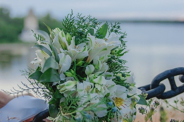 تنزيل باقة الزهور مجانًا - صورة أو صورة مجانية ليتم تحريرها باستخدام محرر الصور عبر الإنترنت GIMP