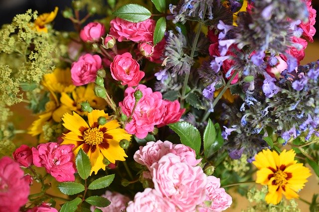 ດາວໂຫຼດຟຣີ Flowers Colorful Bouquet Of - ຟຼີຮູບພາບຫຼືຮູບພາບທີ່ຈະແກ້ໄຂດ້ວຍ GIMP ບັນນາທິການຮູບພາບອອນໄລນ໌