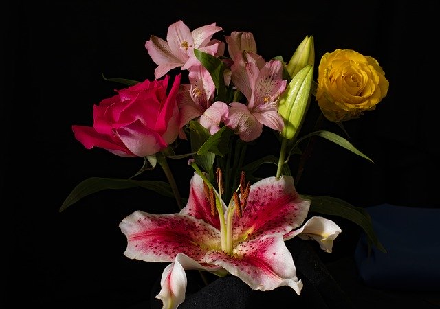 دانلود رایگان Flowers Colorful Decorative - عکس یا تصویر رایگان قابل ویرایش با ویرایشگر تصویر آنلاین GIMP