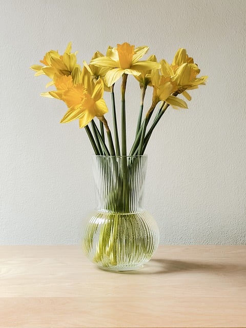 Free download flowers daffodils vase glass free picture to be edited with GIMP free online image editor