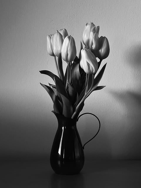 Free download flowers decoration tulips bloom free picture to be edited with GIMP free online image editor