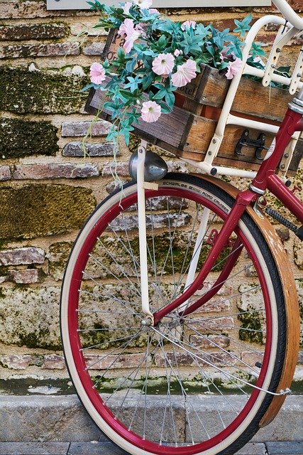 Free download Flowers Flowering Bike Decor -  free photo or picture to be edited with GIMP online image editor