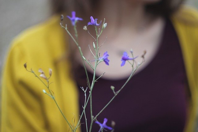 تنزيل Flowers Flower Macro مجانًا - صورة مجانية أو صورة يتم تحريرها باستخدام محرر الصور عبر الإنترنت GIMP