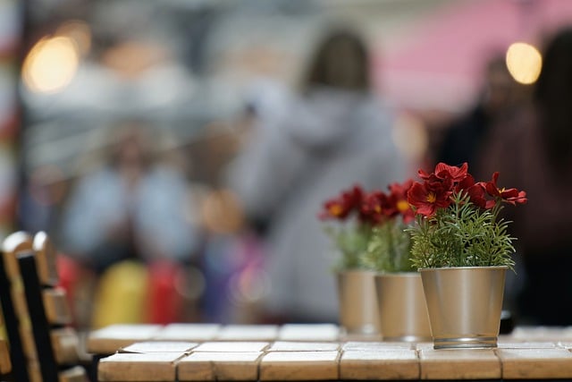 Free download flowers flower pot tables terrace free picture to be edited with GIMP free online image editor