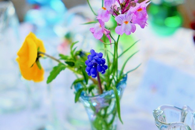Free download Flowers Grass Bottle -  free photo or picture to be edited with GIMP online image editor