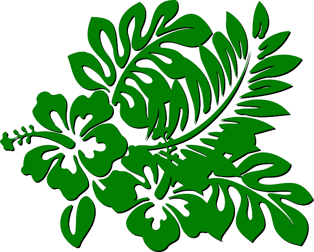 Free graphic Flowers Green Branch - Free vector graphic on Pixabay to be edited by GIMP free image editor by OffiDocs