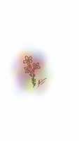 Free download Flower Sketch #01 by Tiara free photo or picture to be edited with GIMP online image editor