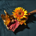Flowers, leaves and seeds  screen for extension Chrome web store in OffiDocs Chromium