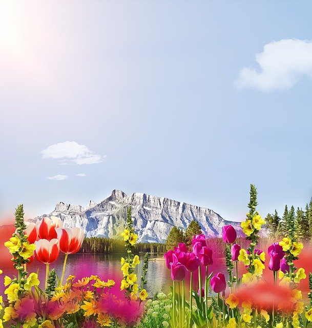 Free picture Flowers Mountain Sky -  to be edited by GIMP free image editor by OffiDocs