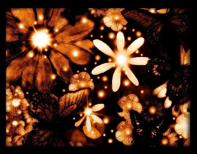 Free download Flowers Nature Night -  free illustration to be edited with GIMP free online image editor
