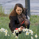 Flowers on the roadside  screen for extension Chrome web store in OffiDocs Chromium
