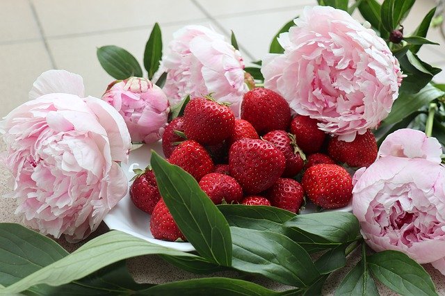 Free picture Flowers Peonies Fruit -  to be edited by GIMP free image editor by OffiDocs