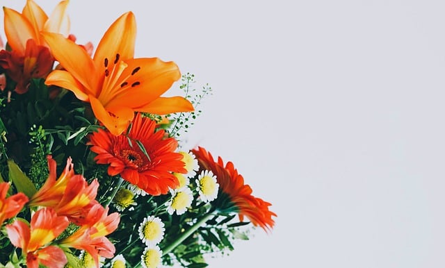 Free download flowers plants bouquet free picture to be edited with GIMP free online image editor