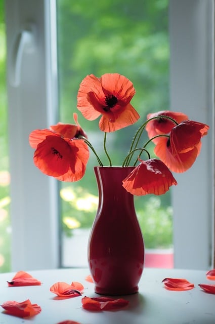 Free download flowers poppies bloom bouquet vase free picture to be edited with GIMP free online image editor