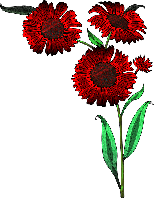 Unduh gratis Bunga Merah Mekar - ilustrasi gratis untuk diedit dengan editor gambar online gratis GIMP