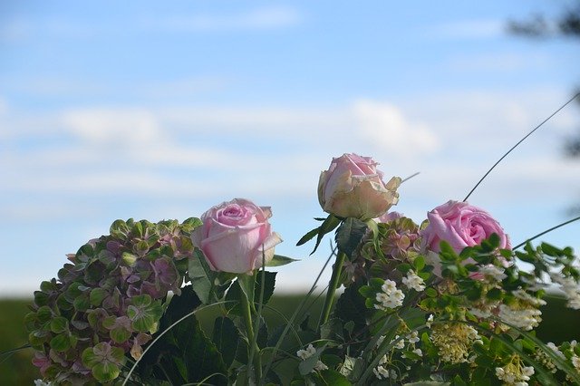 Muat turun percuma Flowers Roses Bouquet - foto atau gambar percuma untuk diedit dengan editor imej dalam talian GIMP