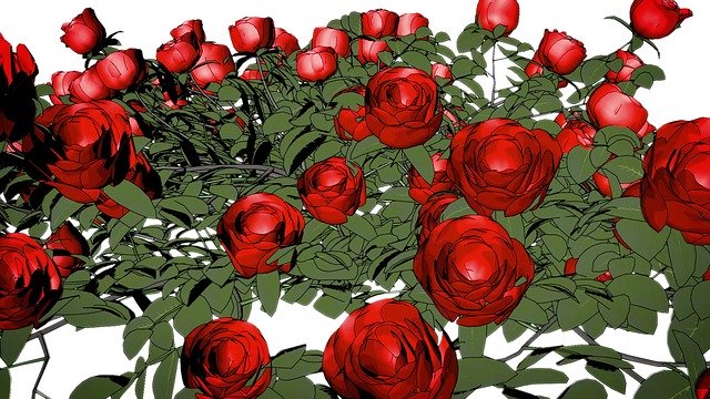 Free download Flowers Roses Red free illustration to be edited with GIMP online image editor