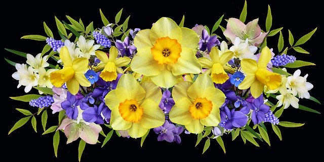 Free download Flowers Spring Arrangement -  free photo or picture to be edited with GIMP online image editor