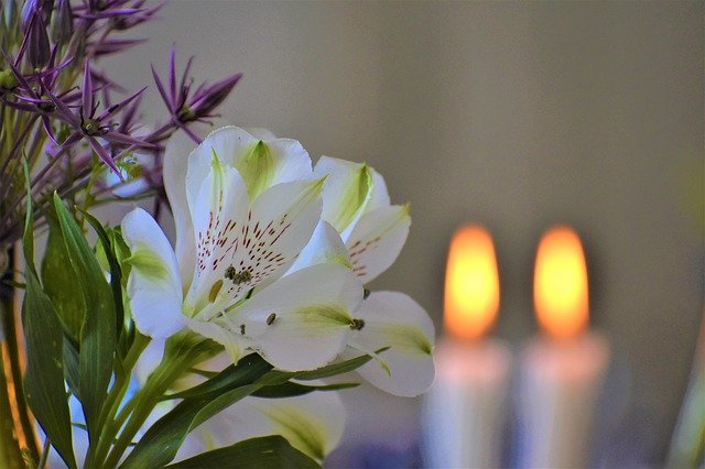 Free download Flowers Table Setting Candles -  free photo or picture to be edited with GIMP online image editor