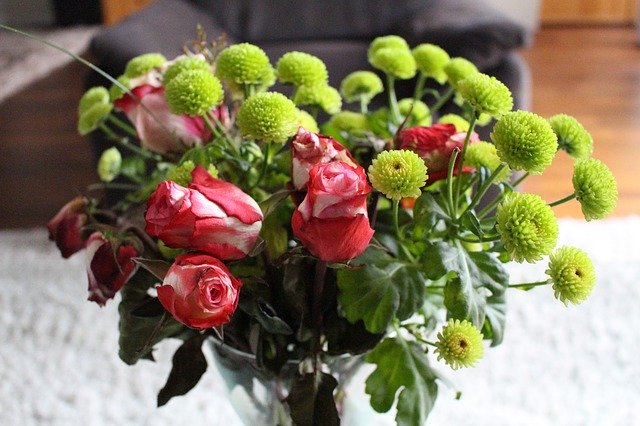 Download gratuito Flower Strauss Rose: foto o immagine gratuita da modificare con l'editor di immagini online GIMP