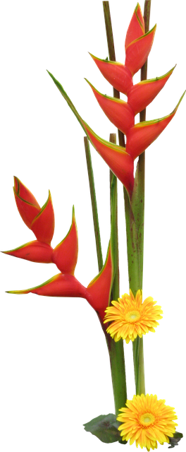 Free download Flowers Tubes Craft Materials -  free illustration to be edited with GIMP free online image editor