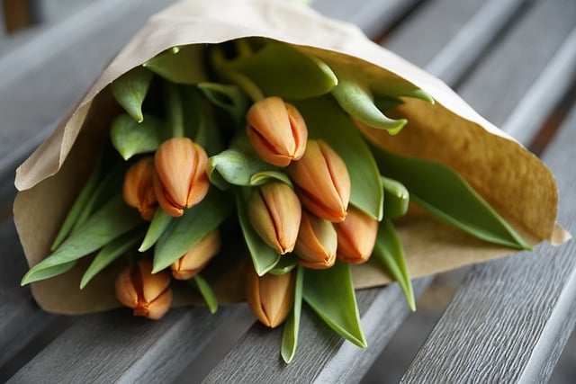Free download flowers tulips bouquet free picture to be edited with GIMP free online image editor