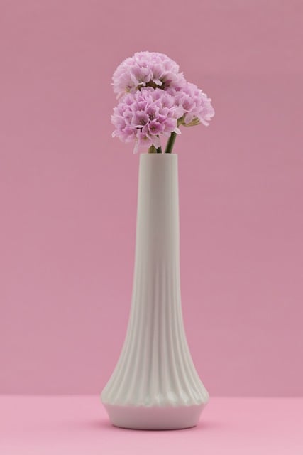 Free download flowers vase decoration bloom free picture to be edited with GIMP free online image editor