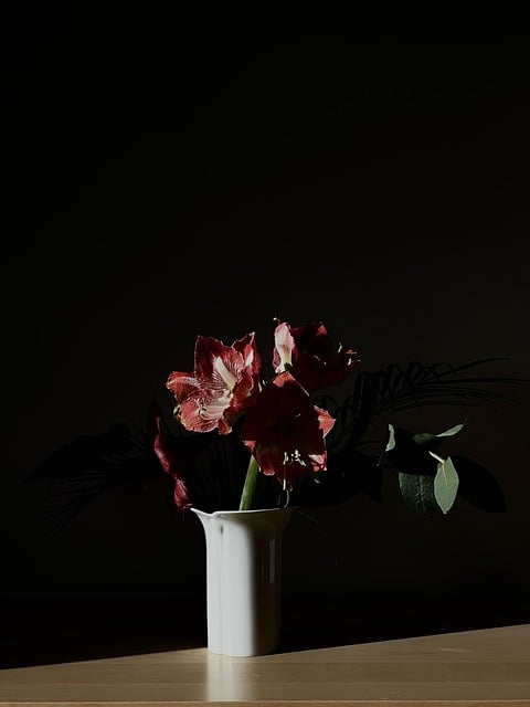 Free download flowers vase shadow eucalyptus free picture to be edited with GIMP free online image editor