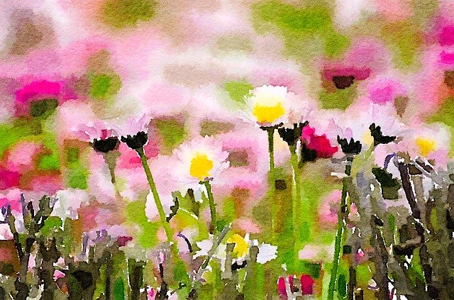 ດາວໂຫຼດຟຣີ Flowers Watercolor Bloom - ຮູບແຕ້ມທີ່ບໍ່ເສຍຄ່າເພື່ອແກ້ໄຂດ້ວຍ GIMP ບັນນາທິການຮູບພາບອອນໄລນ໌ຟຣີ