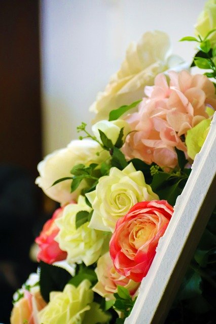 ดาวน์โหลดฟรี Flowers Wedding Roses - รูปถ่ายหรือรูปภาพฟรีที่จะแก้ไขด้วยโปรแกรมแก้ไขรูปภาพออนไลน์ GIMP