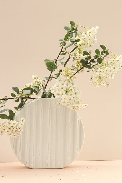 Free download flowers white flowers flower vase free picture to be edited with GIMP free online image editor