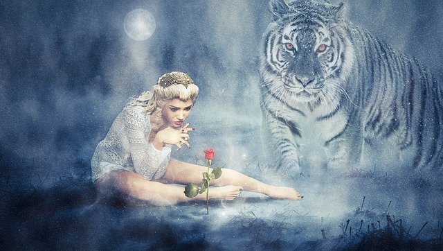 Free download Flower Tiger Plant -  free illustration to be edited with GIMP free online image editor