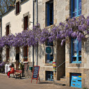 Flower trellis in front of the door  screen for extension Chrome web store in OffiDocs Chromium