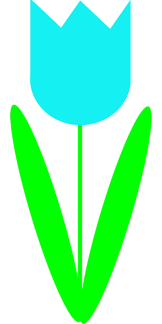 Free download Flower Tulip Blue - Free vector graphic on Pixabay free illustration to be edited with GIMP free online image editor