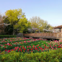 Flower viewing hut  screen for extension Chrome web store in OffiDocs Chromium