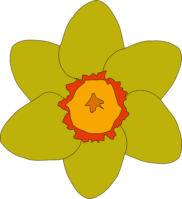ดาวน์โหลดฟรี ดอกไม้ สีเหลือง สวยงาม - กราฟิกแบบเวกเตอร์ฟรีบน Pixabay