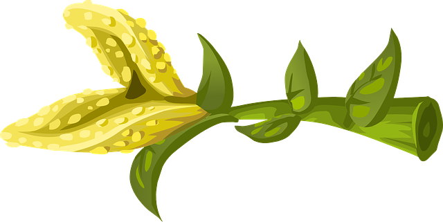 Free download Flower Yellow Blossom - Free vector graphic on Pixabay free illustration to be edited with GIMP free online image editor