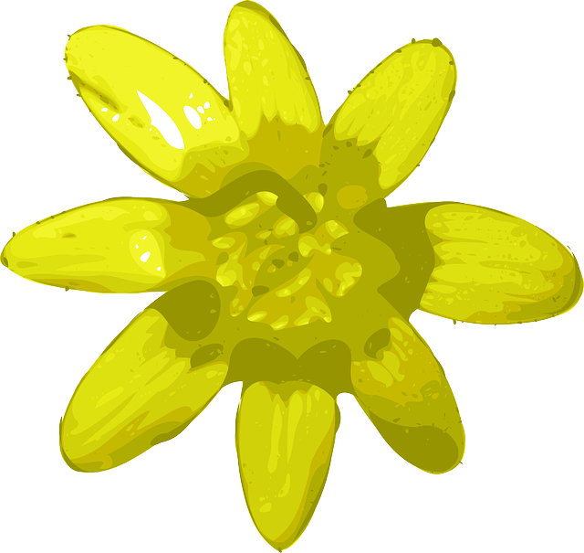 Free download Flower Yellow Bright - Free vector graphic on Pixabay free illustration to be edited with GIMP free online image editor
