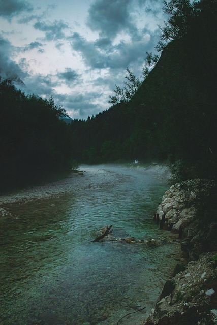 Free download flow fog national park mystical free picture to be edited with GIMP free online image editor