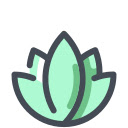 Flow State Training  screen for extension Chrome web store in OffiDocs Chromium