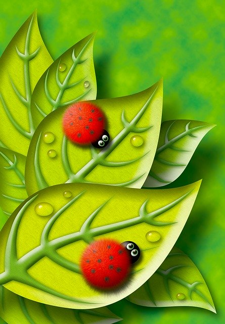 Free download Fluffy Ladybird Leaf free illustration to be edited with GIMP online image editor