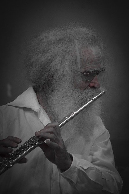 تنزيل Flutist Musician Instrument مجانًا - صورة مجانية أو صورة يتم تحريرها باستخدام محرر الصور عبر الإنترنت GIMP