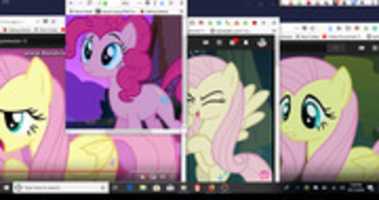 Free download Fluttershy and Pinkie Pie free photo or picture to be edited with GIMP online image editor