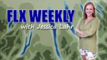 Free download FLX Weekly 2016 08 03 free photo or picture to be edited with GIMP online image editor