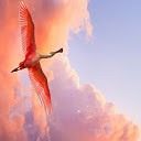 Flying Flamingo  screen for extension Chrome web store in OffiDocs Chromium