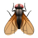 Fly on the Screen  screen for extension Chrome web store in OffiDocs Chromium