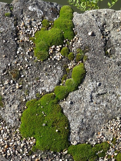Free download Foam Rock Rocks -  free photo or picture to be edited with GIMP online image editor